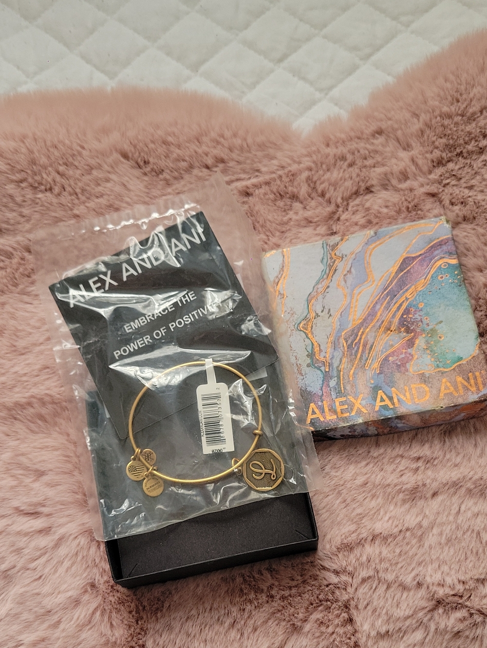 Alex and Ani Gold Expandable Charm Bangle Letter L